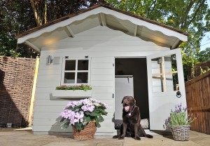 The £3,000 Doghouse That's Far Too Nice For Fido